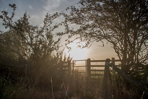 Misty Morning in the Aire Valley by LandscapeCanvases.co.uk
